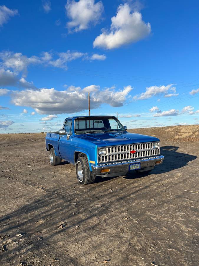 Chevy-c10-truck-1982-blue-3