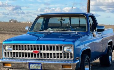 Chevy-c10-truck-1982-blue