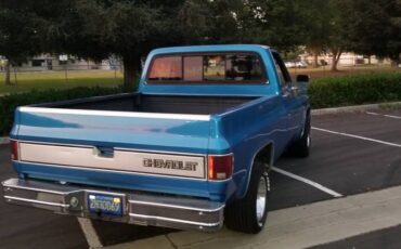 Chevy-c10-truck-1982-blue-5