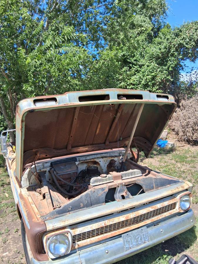 Chevy-c20-1965-13