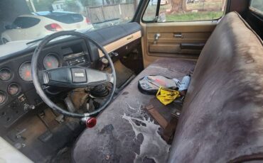 Chevy-c20-1973-1