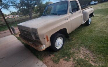 Chevy-c20-1973-2