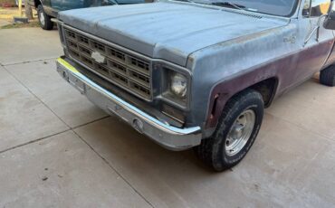 Chevy-c20-1978-grey-20