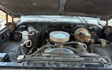 Chevy-c20-1978-grey-21