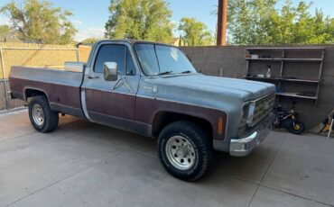 Chevy-c20-1978-grey