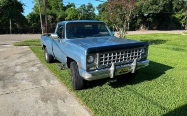 Chevy-c20-1980-blue-1