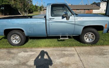 Chevy-c20-1980-blue
