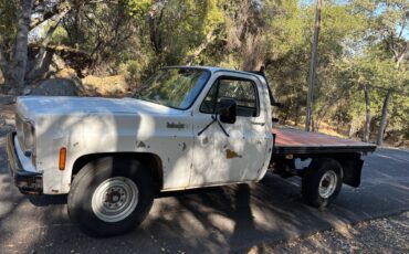 Chevy-c20-stake-side-1974-8