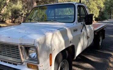 Chevy-c20-stake-side-1974-9