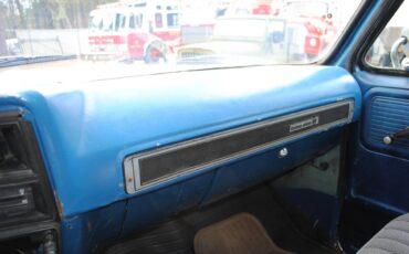 Chevy-c30-dumptruck-1979-blue-10