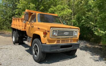 Chevy-c60-dump-1975-yellow-11