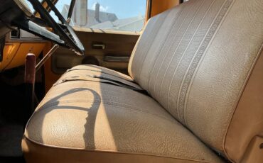 Chevy-c60-dump-1975-yellow-4