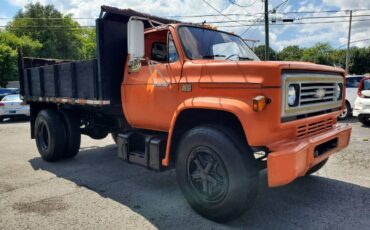 Chevy-c60-dump-truck-1981-8