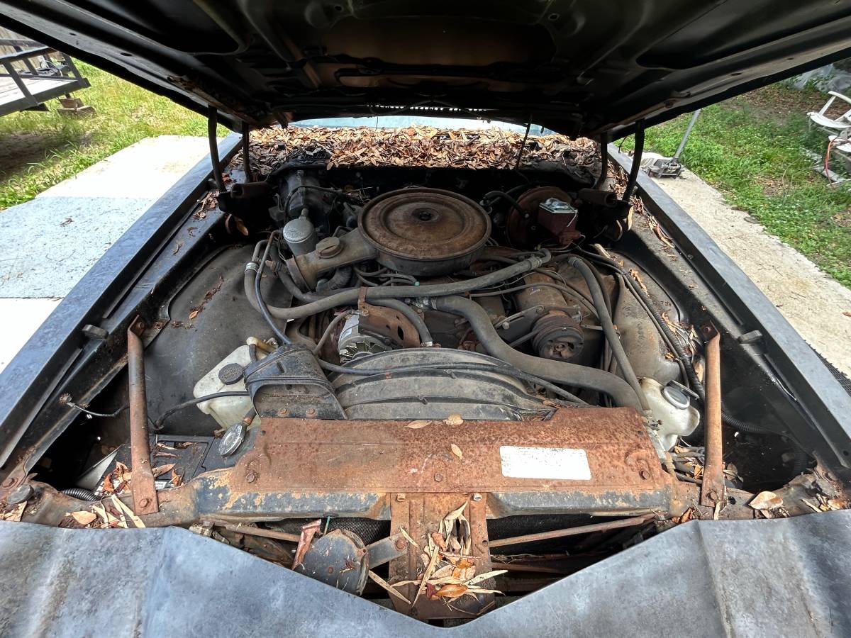 Chevy-camaro-1978-5