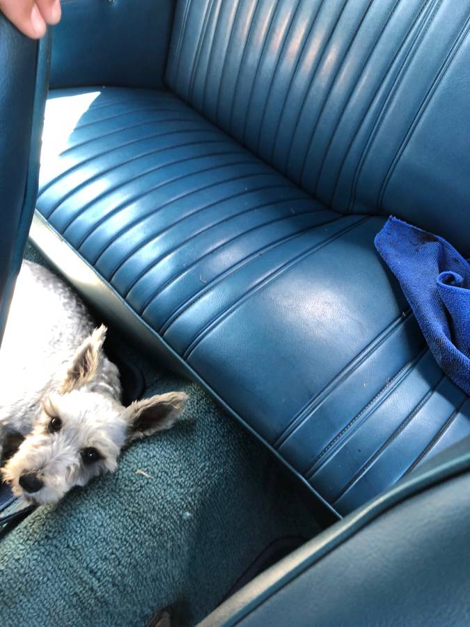 Chevy-camaro-convertible-1968-blue-6