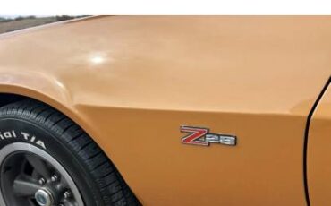 Chevy-camaro-z-28-1973-brown-13