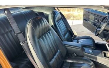 Chevy-camaro-z-28-1973-brown-14