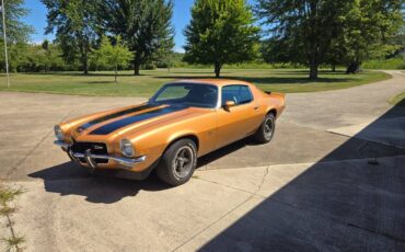 Chevy-camaro-z-28-1973-brown-16