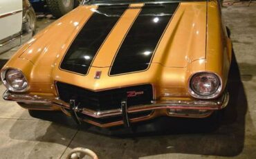 Chevy-camaro-z-28-1973-brown-5