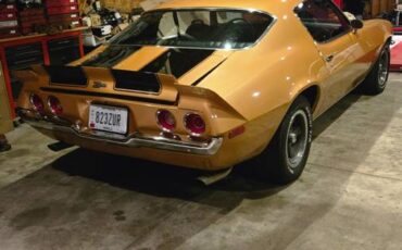Chevy-camaro-z-28-1973-brown-6