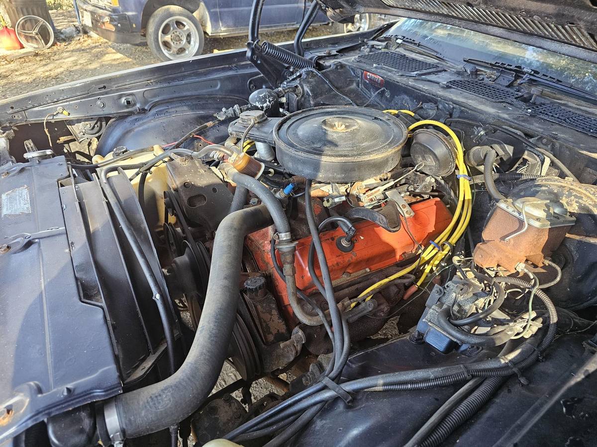 Chevy-camaro-z28-1979-blue-5