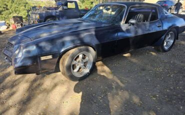 Chevy-camaro-z28-1979-blue