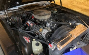 Chevy-camaro-z28-1981-6