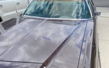 Chevy-caprice-1973-8