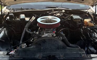 Chevy-caprice-1982-white-1