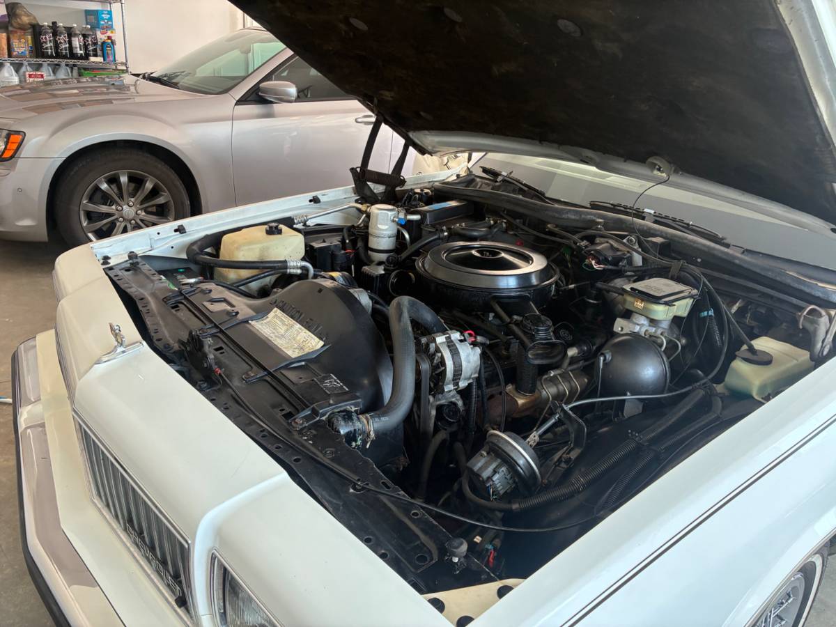 Chevy-caprice-1989-white-10