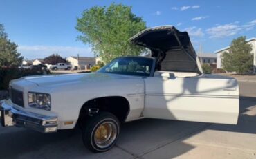 Chevy-caprice-classic-1975-white