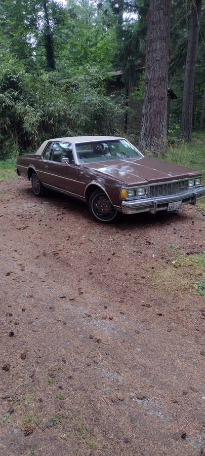Chevy-caprice-classic-1979-brown-1