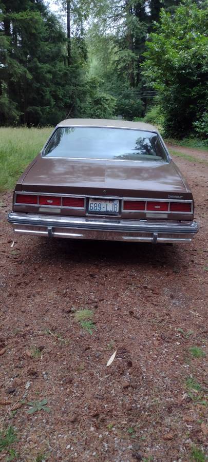 Chevy-caprice-classic-1979-brown-11