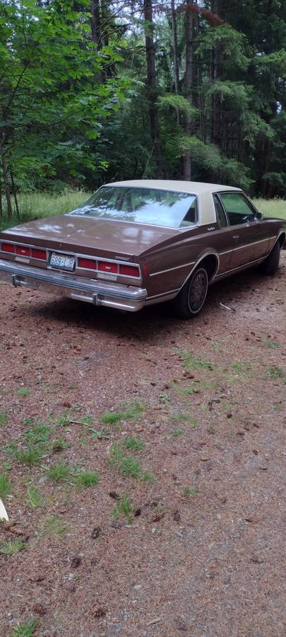 Chevy-caprice-classic-1979-brown-2