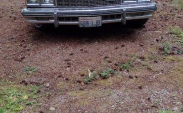 Chevy-caprice-classic-1979-brown