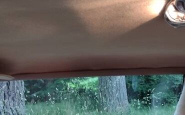 Chevy-caprice-classic-1979-brown-4
