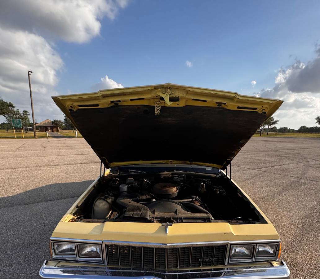 Chevy-caprice-classic-1979-yellow-6