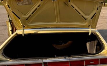 Chevy-caprice-classic-1979-yellow-7