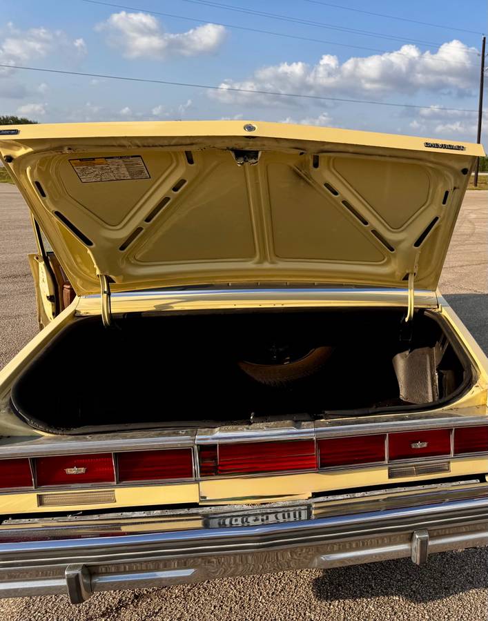 Chevy-caprice-classic-1979-yellow-7