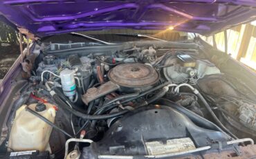 Chevy-caprice-classic-1983-purple-1