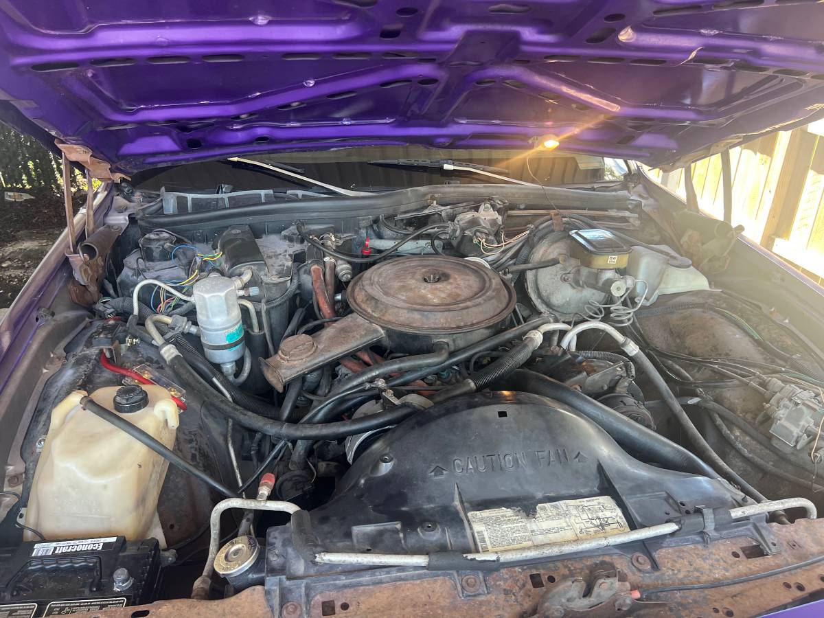 Chevy-caprice-classic-1983-purple-1