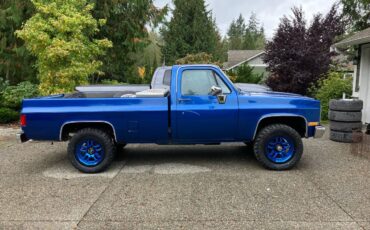 Chevy-cheyanne-1986-blue-19