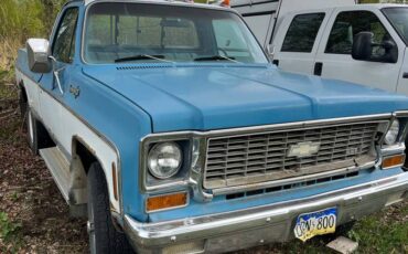 Chevy-cheyenne-2500-1975-blue