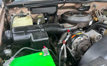 Chevy-cheyenne-3500-1993-brown-13