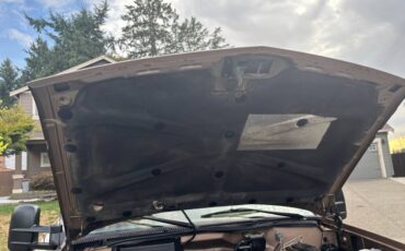 Chevy-cheyenne-3500-1993-brown-14