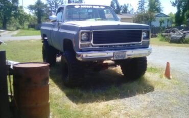Chevy-cheyenne-k-10-1975-grey-1