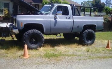 Chevy-cheyenne-k-10-1975-grey-12