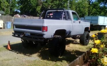 Chevy-cheyenne-k-10-1975-grey-16
