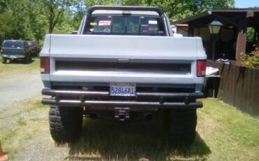 Chevy-cheyenne-k-10-1975-grey-3