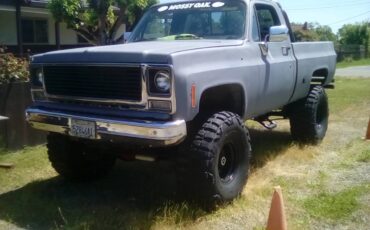 Chevy-cheyenne-k-10-1975-grey